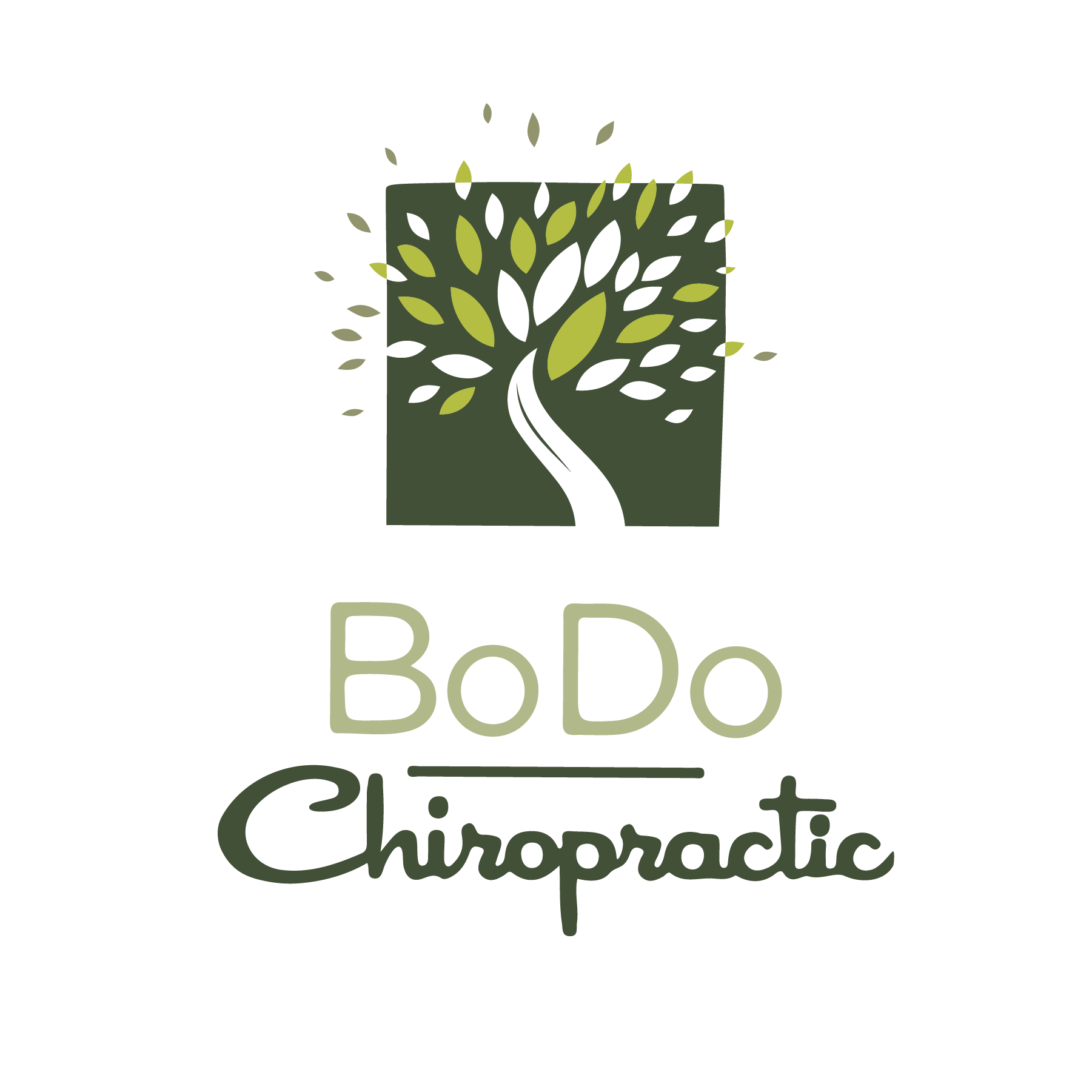 Top 3 Chiropractors In Boise ID