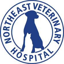 Northeast Veterinary Hospital