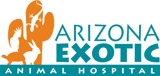 Arizona Exotic Animal Hospital (Mesa)