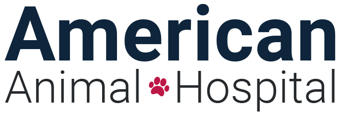 American Animal Hospital