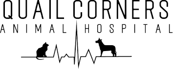 Quail Corners Animal Hospital