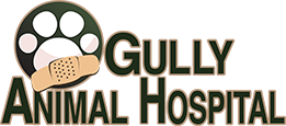 Top 3 Veterinary In Arlington TX