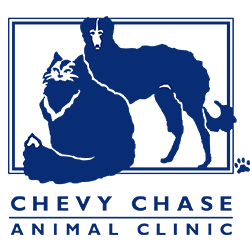 Top 3 Veterinary In Lexington KY