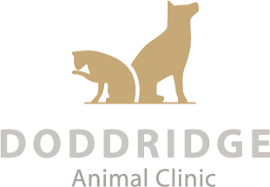 Doddridge Animal Clinic