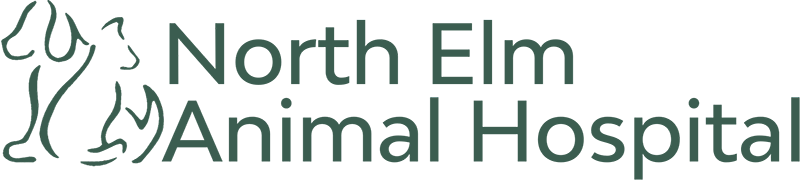 North Elm Animal Hospital