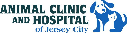 Animal Clinic & Hospital of Jersey City