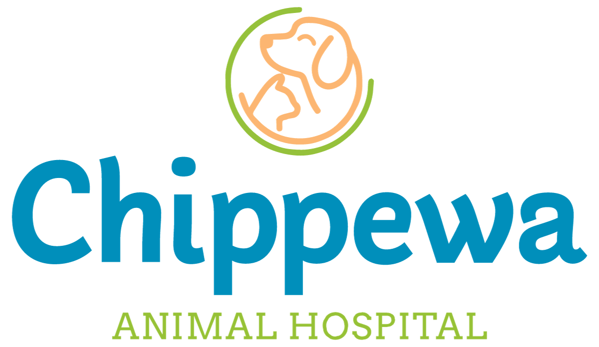 Chippewa Animal Hospital