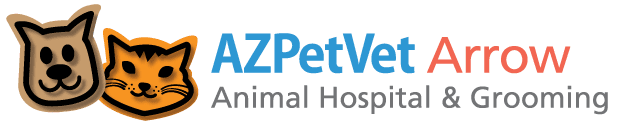 Top 3 Veterinary In Glendale AZ