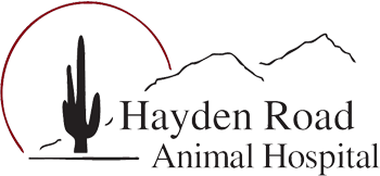 Hayden Road Animal Hospital