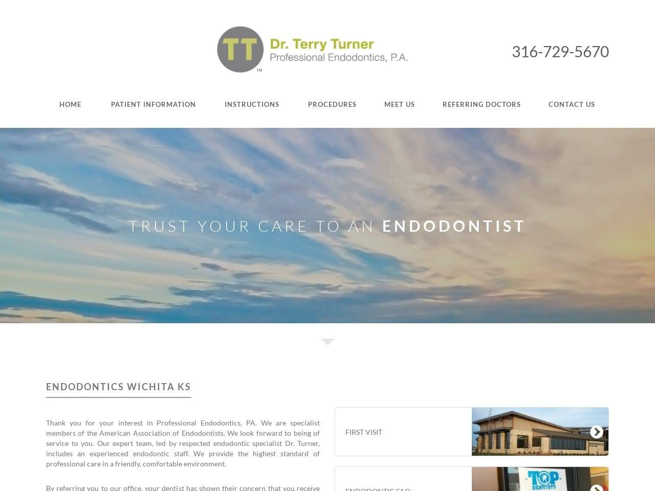 Professional Endodontics Turner Terry DDS