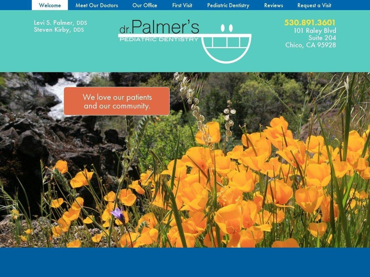 Levi Palmer DDS Pediatric Dentist