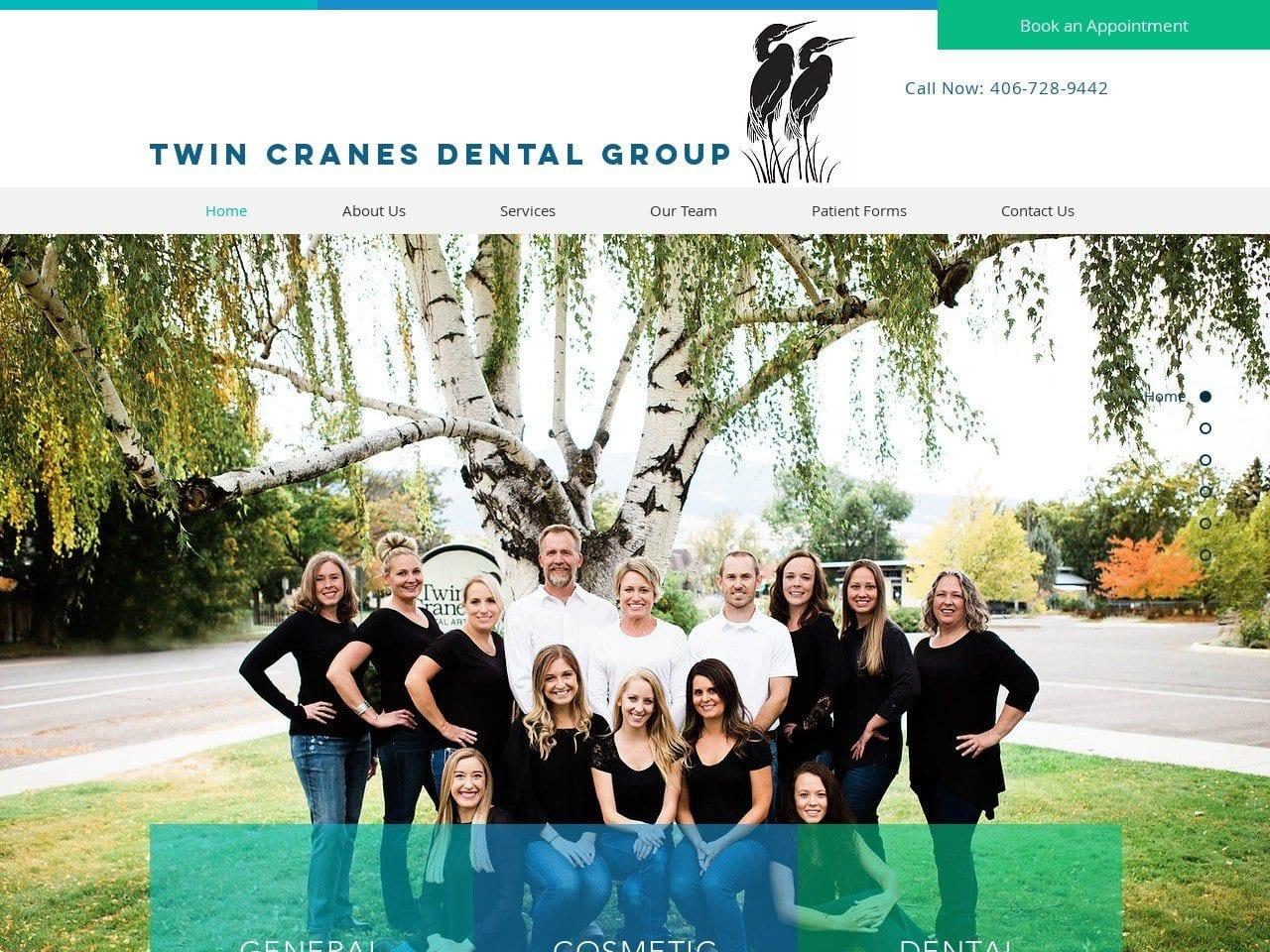 Twin Cranes Dental Group screenshot