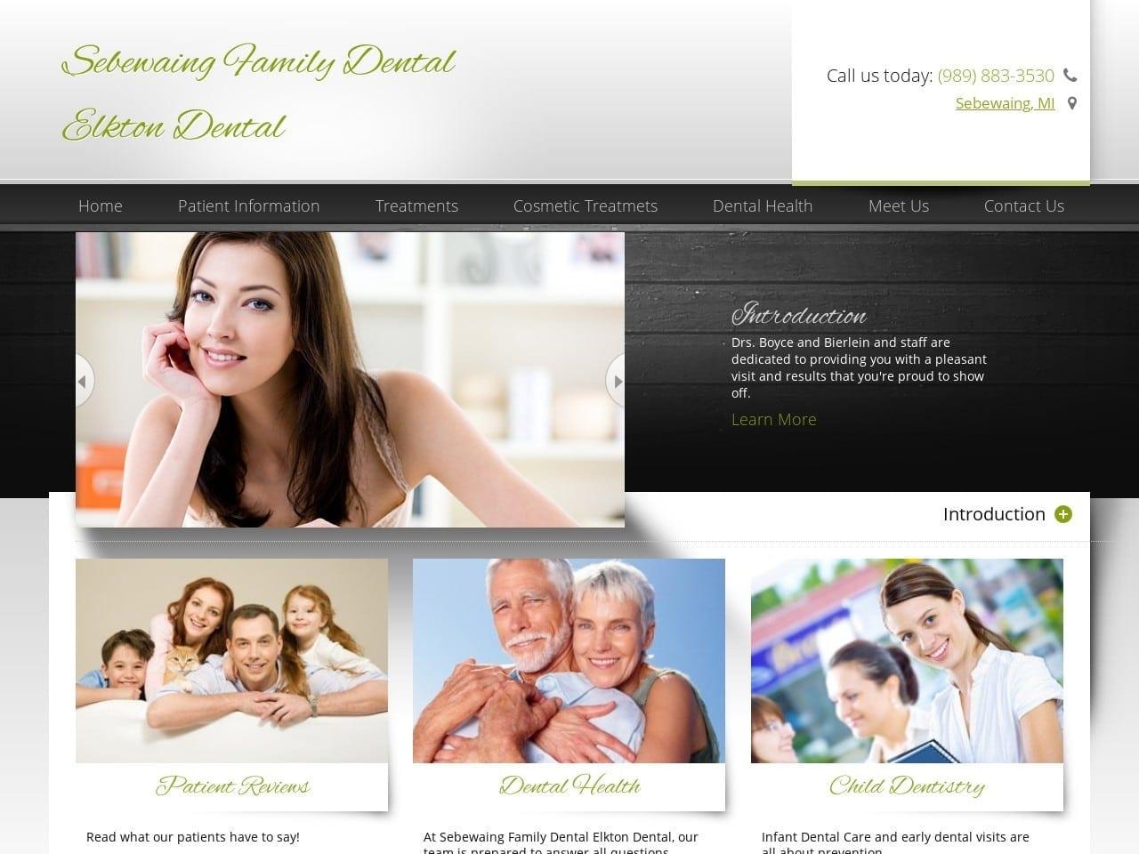 Sebewaing Family Dental Center screenshot