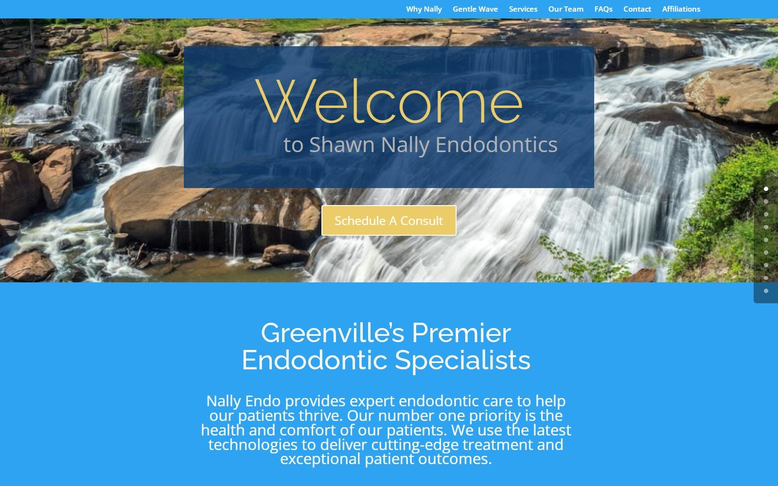 Shawn Nally Dr DDS Practice Limited to Endodontics screenshot