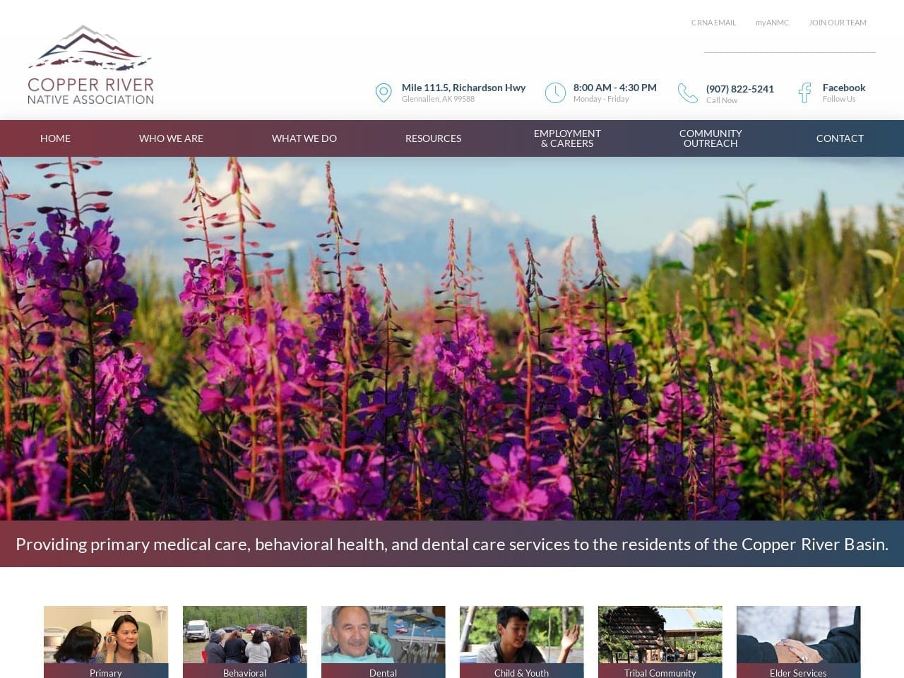 Wrangell Mountain Dental Clinic Website Screenshot from crnative.org
