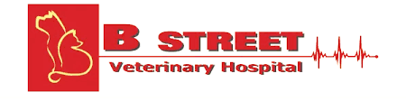 bstreetvet.com logo