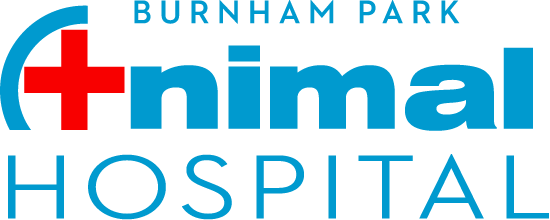 burnhamparkvet.com logo