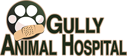 gullyanimalhospital.com logo