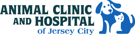 jerseycityvet.com logo