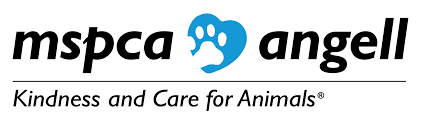 mspca.org.com logo