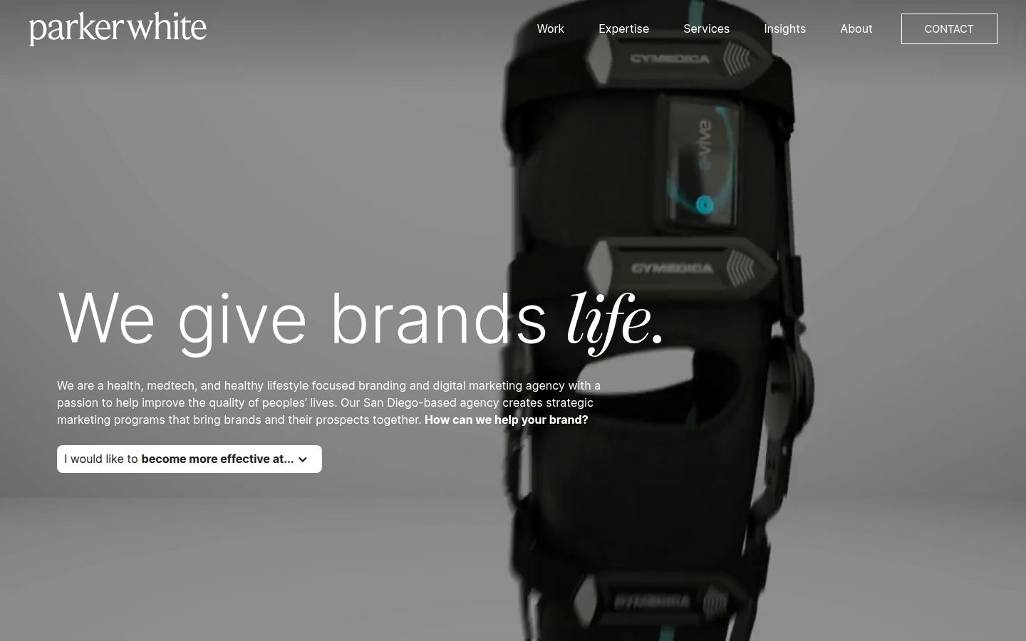 parkerwhite.com screenshot