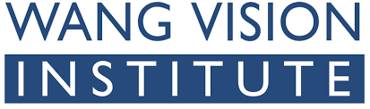 wangvisioninstitute.com logo